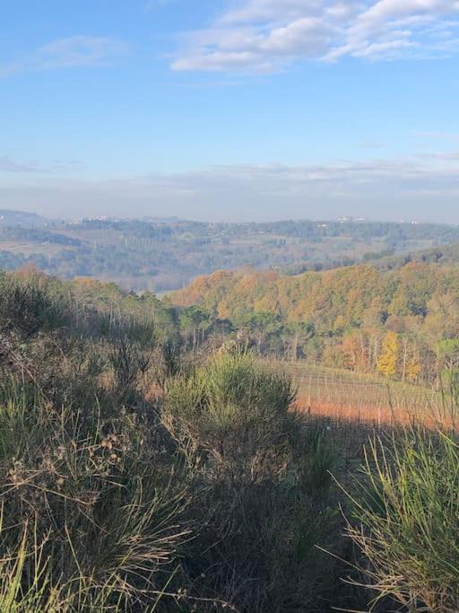 Faetole Typical Tuscan Country House Near Florence Capannuccia Bagian luar foto