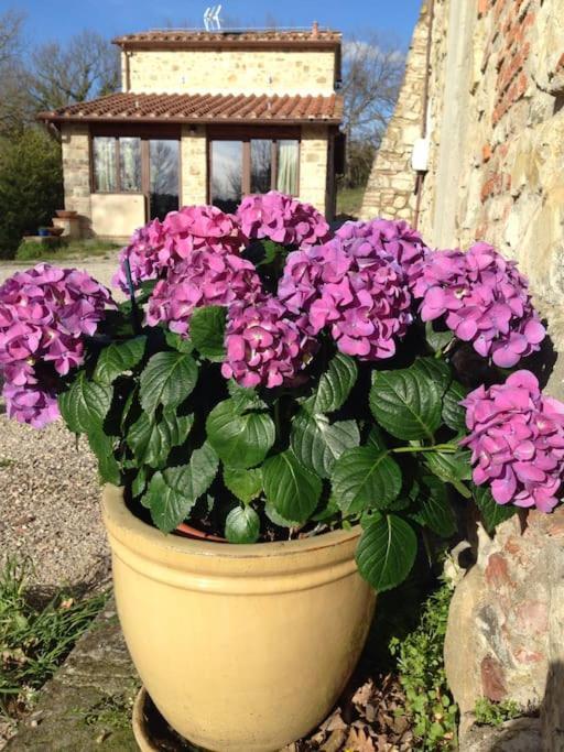Faetole Typical Tuscan Country House Near Florence Capannuccia Bagian luar foto